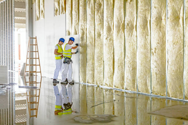 Best Insulation Installation Services in Layton, UT